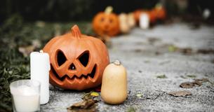 Halloween House at Glenwood Park, Barnstaple