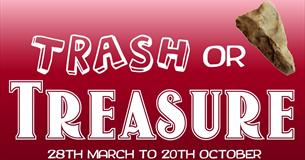 Trash or Treasure poster