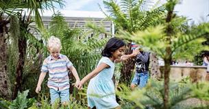 Jurassic Discovery Garden Trail