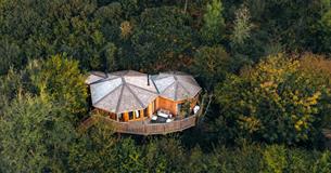 Nest Treehouse - Sleepy Owl Devon