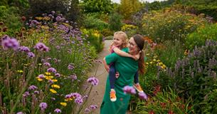 RHS Garden Rosemoor 