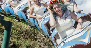 The BIG North Devon Wedding Show
