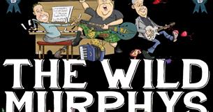 3 Day Live Irish Music Event