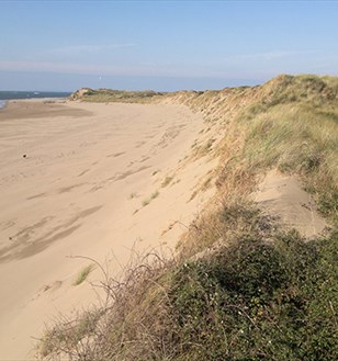 braunton burrows