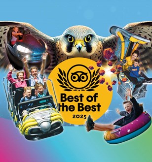 Milky way tripadvisor award - best of the best 2025