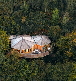 Nest Treehouse - Sleepy Owl Devon