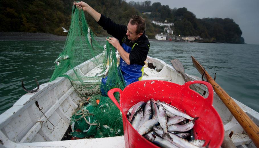 Fishing in North Devon