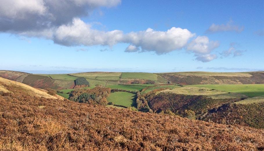 north devon exmoor camping