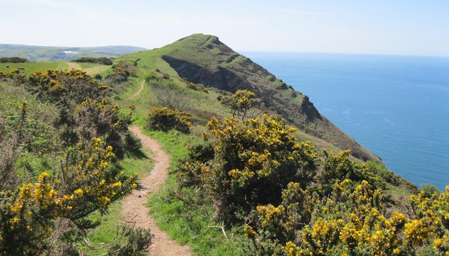 coast path in north devon