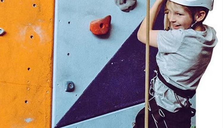 Little Lemurs - Kids' Climbing Club