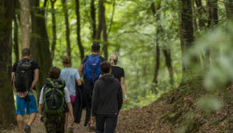 National Walking Month @ Heddon Valley - Photography Walk with Mark Johnson