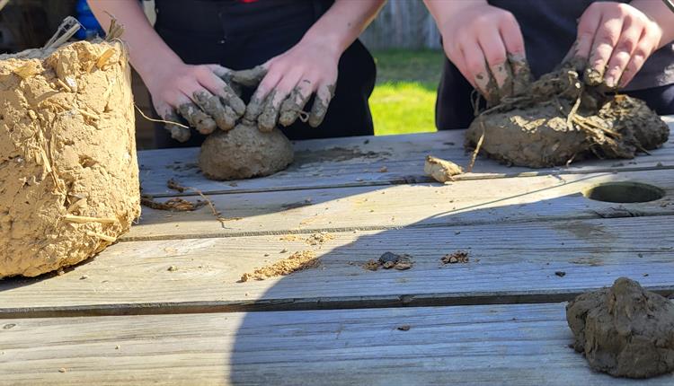 bug hotel