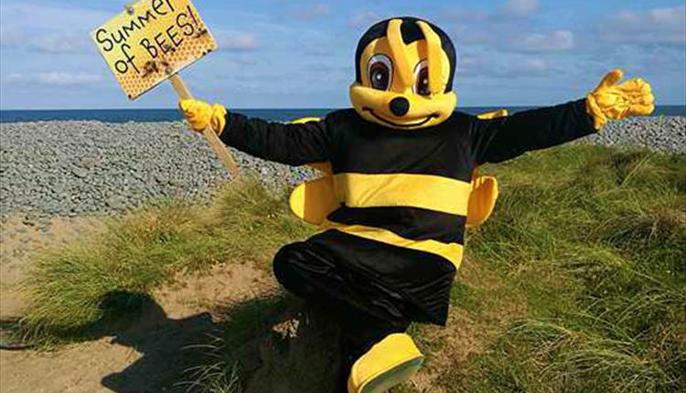The Summer of Bees