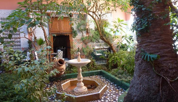 Chulmleigh Open Gardens