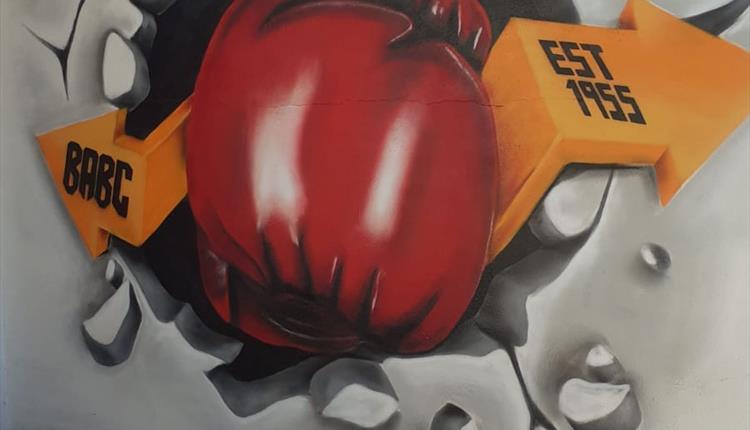 Barnstaple ABC Boxing Show