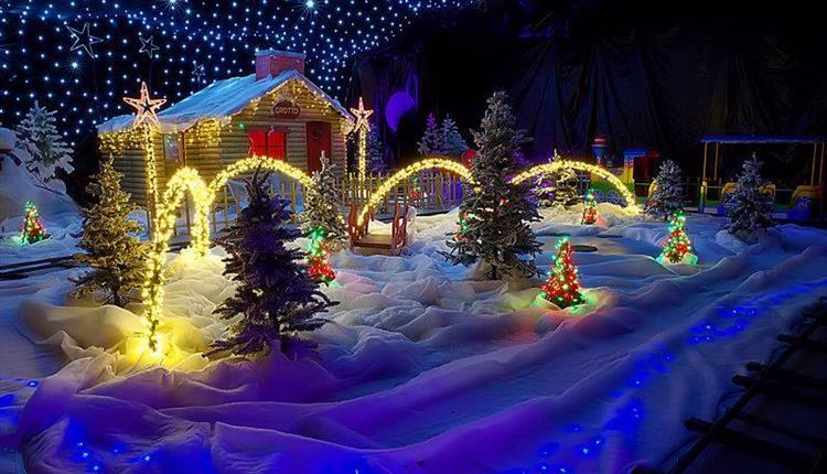 Woolly's Winter Wonderland
