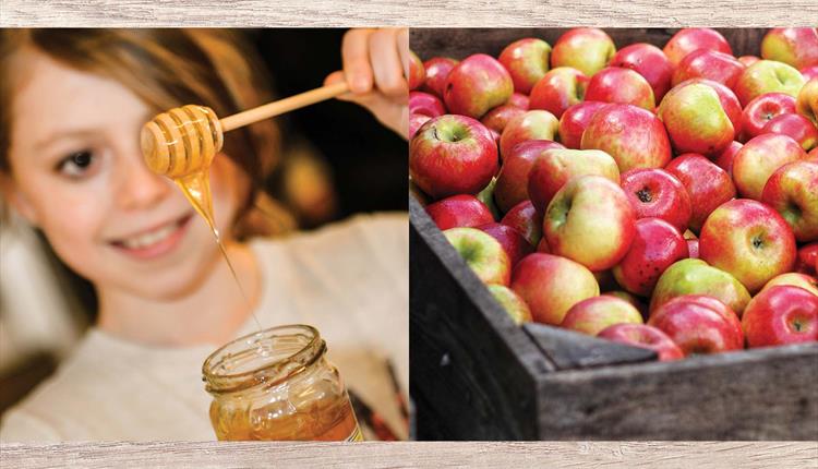 Apple & Honey Harvest
