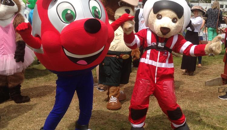 Devon Air Ambulance 30th Anniversary Celebration Event