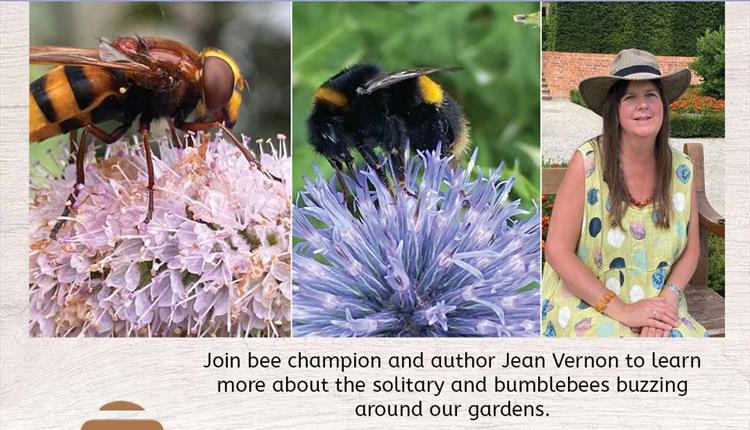 Bee Safari
