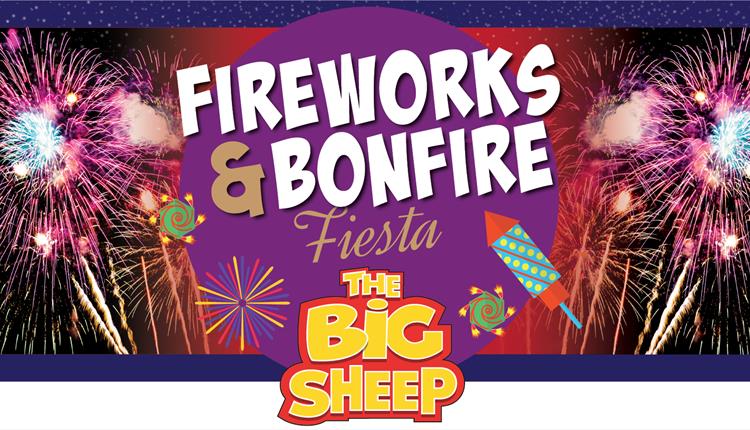 Fireworks and Bonfire Fiesta