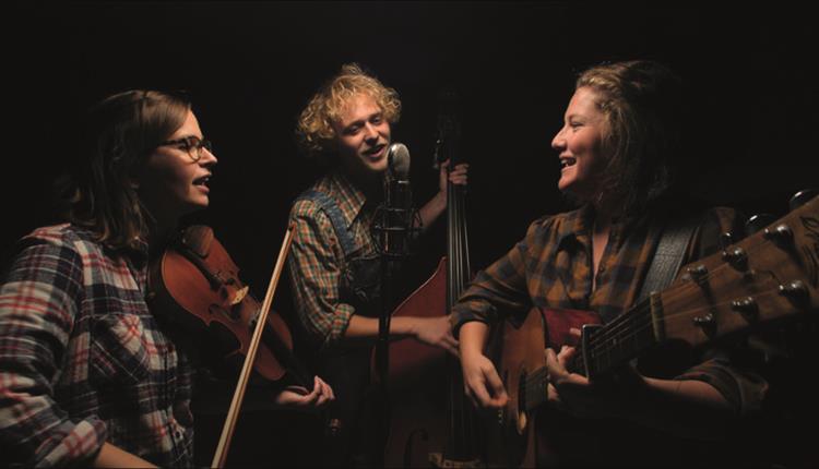 Boogaloo String Band