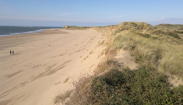 braunton burrows