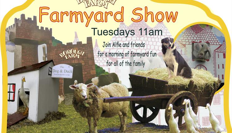 Farmyard Show