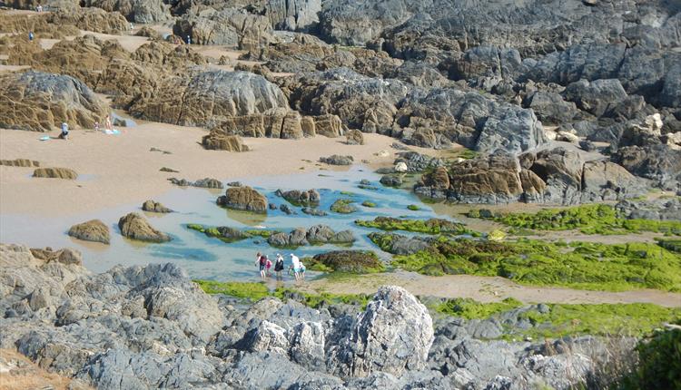 Rockpool Ramble