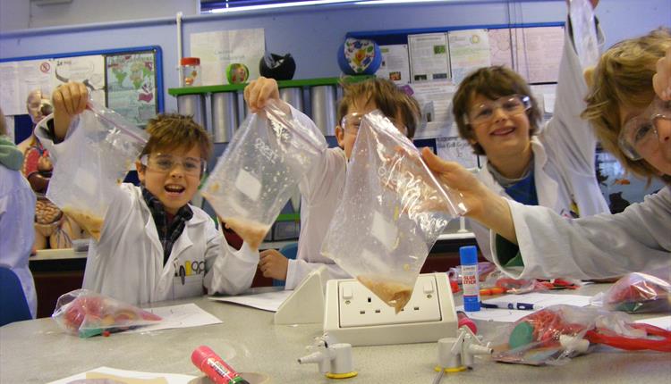 Saturday Science Club - Brain Freeze