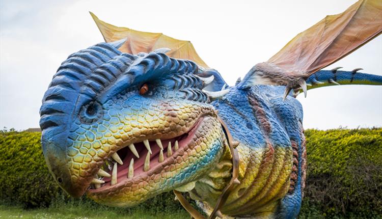 Dragon Day