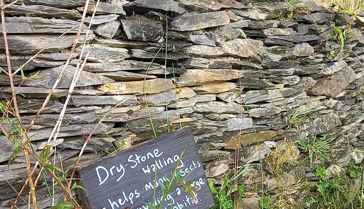 Dry Stone Walling Workshop