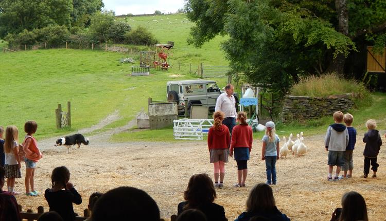 Farmyard Show