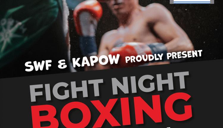 Fight Night - Boxing