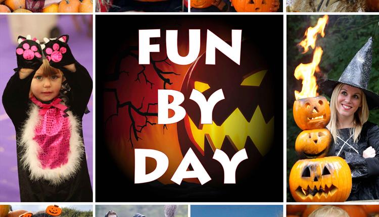 Halloween Festival: Fun by Day