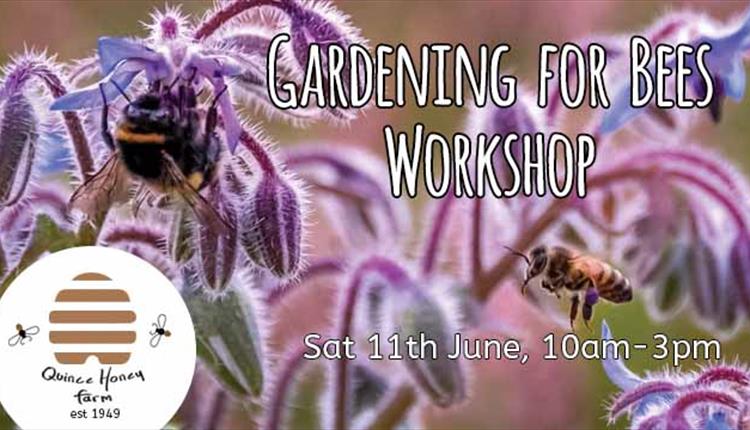 Gardening for Bees Workshop