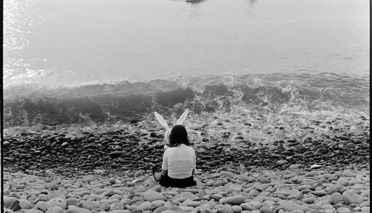HERE | Uncovering North Devon
