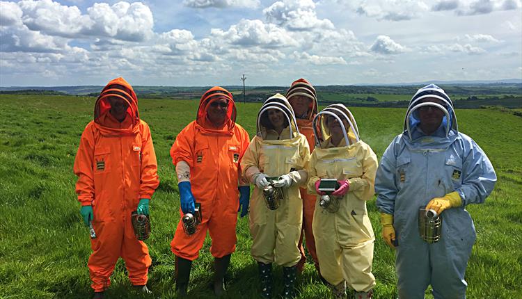 Beekeeping Experience Days