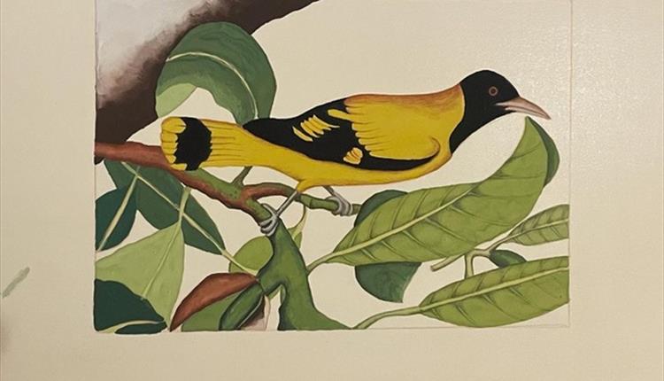 3 day Indian Miniature Painting Courses Taught by Samantha Buckley