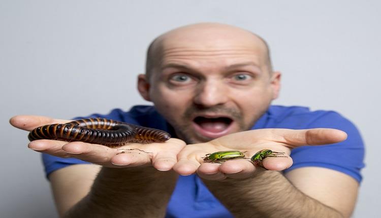 Really Wild Learning