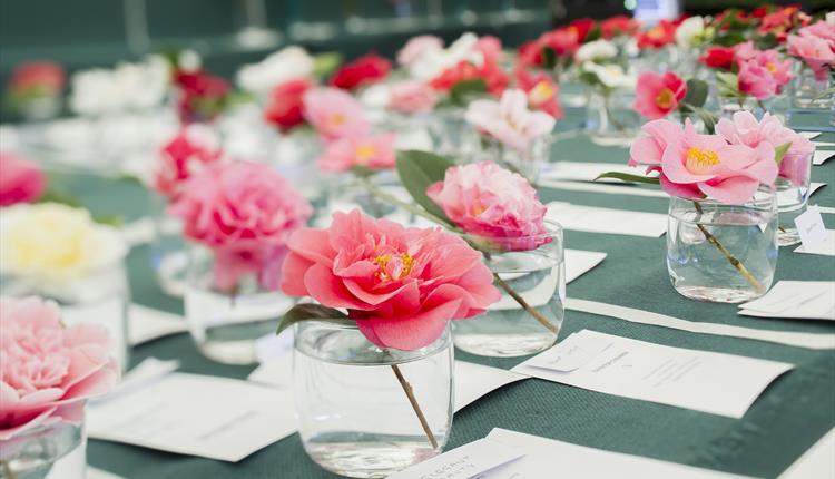 Spring Flower Show