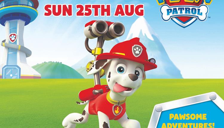 See Marshall from PAW Patrol