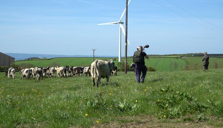 North Devon Moving Image | Down on the Farm
