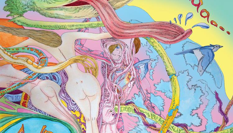 POP : Psychedelia and Beyond by John Hurford