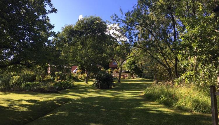 Littleham Village Graden Trail