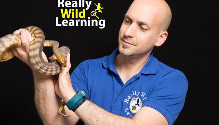 Really Wild Learning