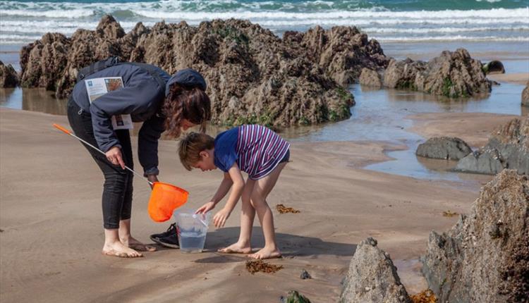 Rockpool Ramble