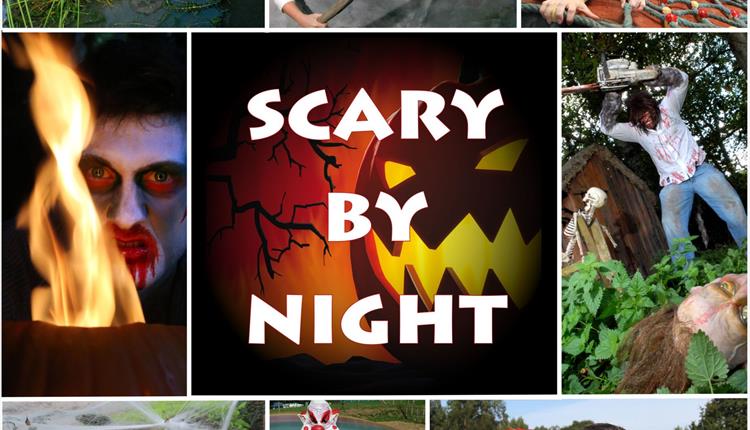 Scary by Night Halloween Evenings