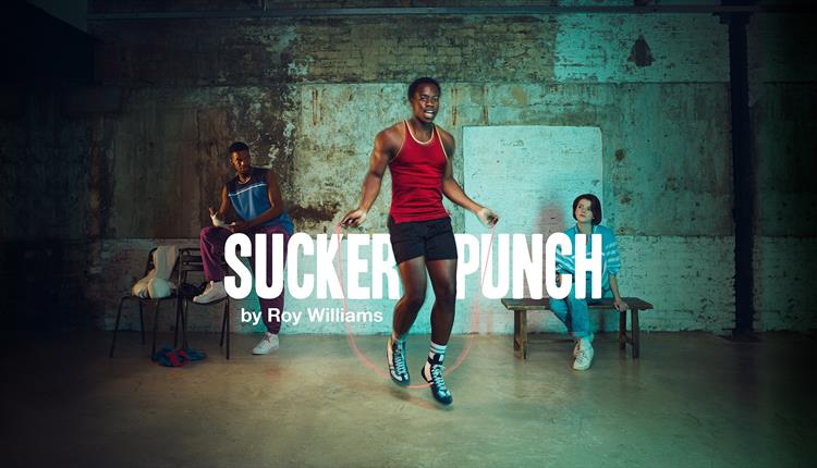 Sucker Punch