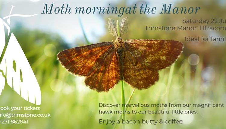 The Marvel of Moths at The Manor