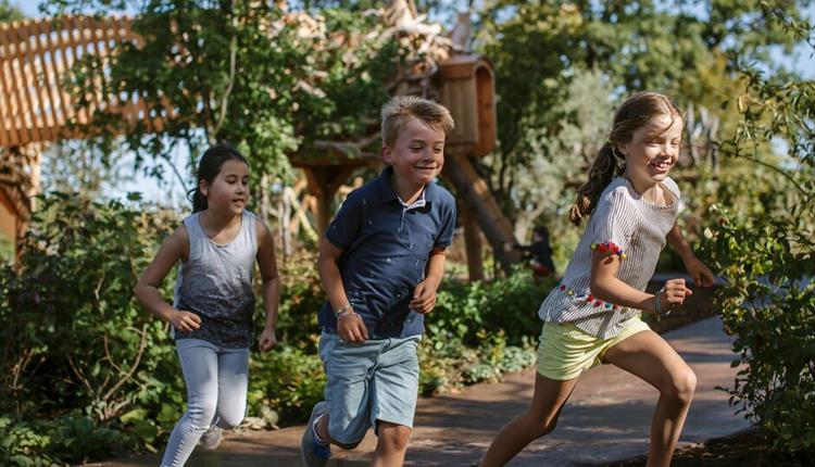 Summer holidays: The Great Garden Adventure